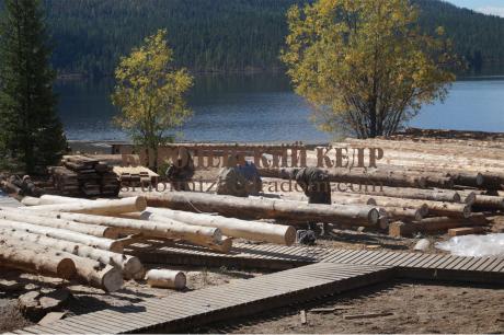 Аспекты выбора бревна для строительства: зимний лес и влажность древесины