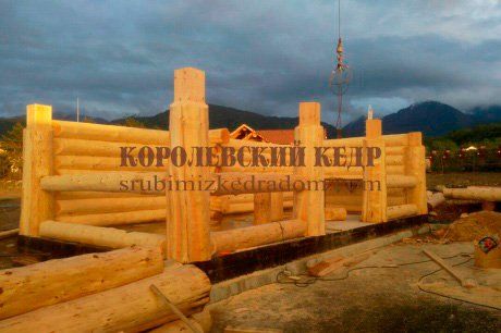 Качество леса: 3 дефекта древесины
