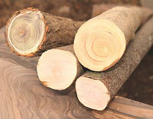 Каждое дерево перед рубкой обследуем дефектоскопом для определения скрытых дефектов по 22 параметрам, чтобы ужесточить критерии отбора древесины для вашего дома.(2)