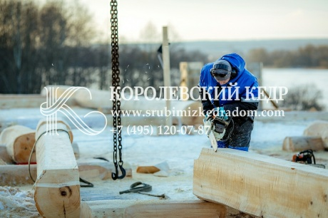 4 главных вопроса о строительстве деревянного дома в компании «Королевский Кедр»